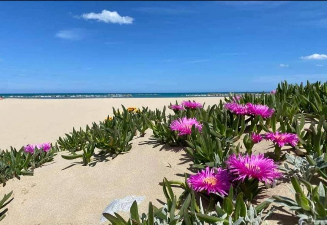 Marea Il Tuo Angolo Di Paradiso In Sicilia Ti Aspetta Prenota Ora E Vivi La Magia Del Mediterraneo อัลกาโมมารีนา ภายนอก รูปภาพ